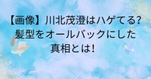 川北茂澄はハゲてる？髪型をオールバックににした真相とは！